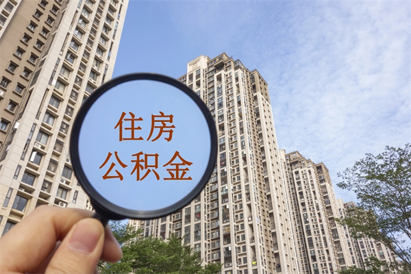 邢台合肥公积金提取代办（邢台合肥公积金提取代办要多久）